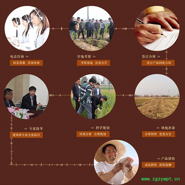 湖北金航 0经验0技术**招全国各乡镇中药材联络员种植养殖加盟商