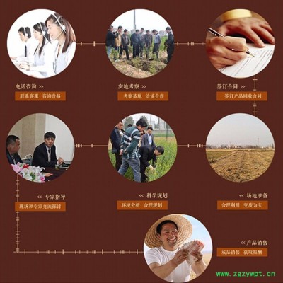 湖北金航 0经验0技术**招全国各乡镇中药材联络员种植养殖加盟商