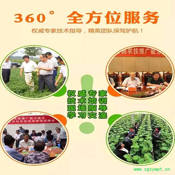 湖北金航 0经验0技术**招全国各乡镇中药材联络员种植养殖加盟商图4