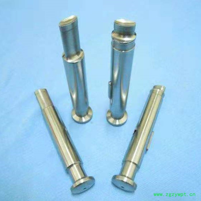 高速旋转式压片机 中药压片机图8