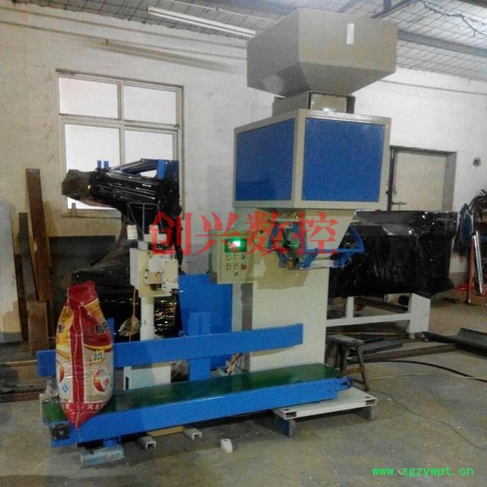 2018新型 瓜子颗粒计量包装机 面粉装袋定量包装秤 粉剂灌装机图2