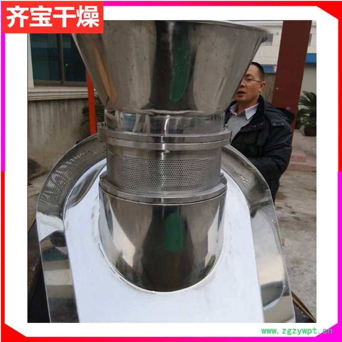 枸杞茶挤压颗粒机 中药颗粒挤压造粒设备 荞麦茶颗粒机 湿粉制粒机 不锈钢鸡精挤压造粒机图2