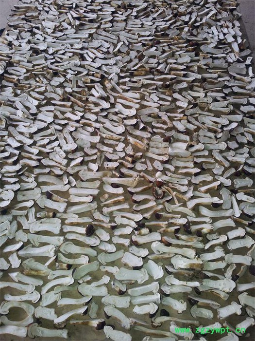 西莱特XLT_360RD 食品烘干机 中药材烘干机 海产品烘干机 工业烘干机 低温节能烘干机图4