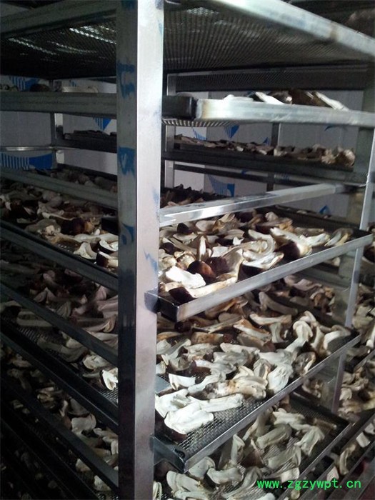 西莱特XLT_360RD 食品烘干机 中药材烘干机 海产品烘干机 工业烘干机 低温节能烘干机图3