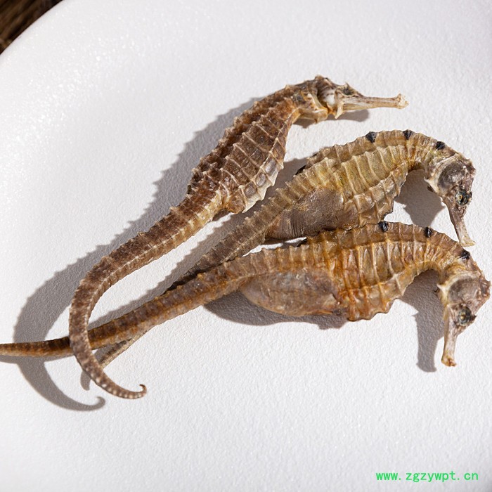 中药材三斑海马无增重规格齐男士养生泡酒料图2