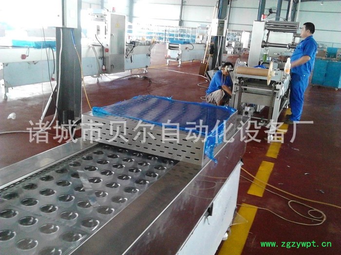 中医药材真空包装--颗粒粉剂中药材真空包装机图5