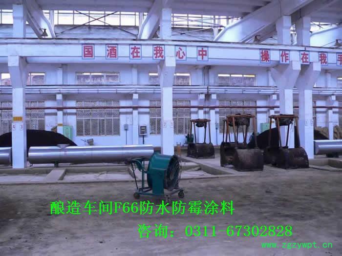 供应胜发F66食品车间耐水防霉涂料_酿造车间耐水涂料_中药车间耐水防霉内墙漆_酿造车间耐水耐湿热涂料图2