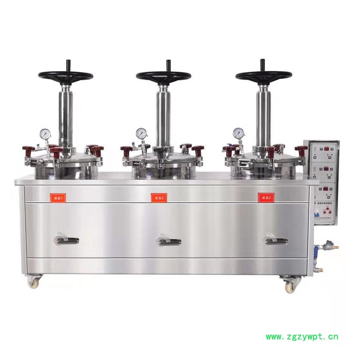 济南三延 MJY-25 自立袋煎药包装封口一体机 液体包装煎药机 全自动液体灌装机定制图3