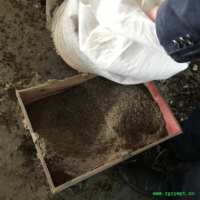 无尘不锈钢食品粉碎机 锤片式 中药材打粉机 稻壳自吸细粉生产线图5