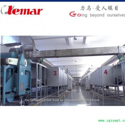 云南中药切片带式干燥机Sliced onion dryer、