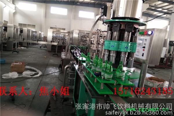 帅飞BRGF-厂家批发玻璃瓶饮料生产线 全自动玻璃瓶饮料灌装机 玻璃瓶液体灌装机图2