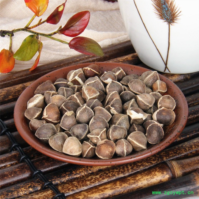 中药材辣木籽中大果散装药材滋补各种辣木籽图3