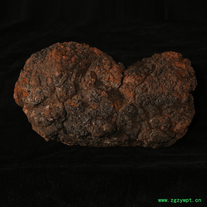 长白山桦树茸,小块免费切250g罐装,养生中药图3