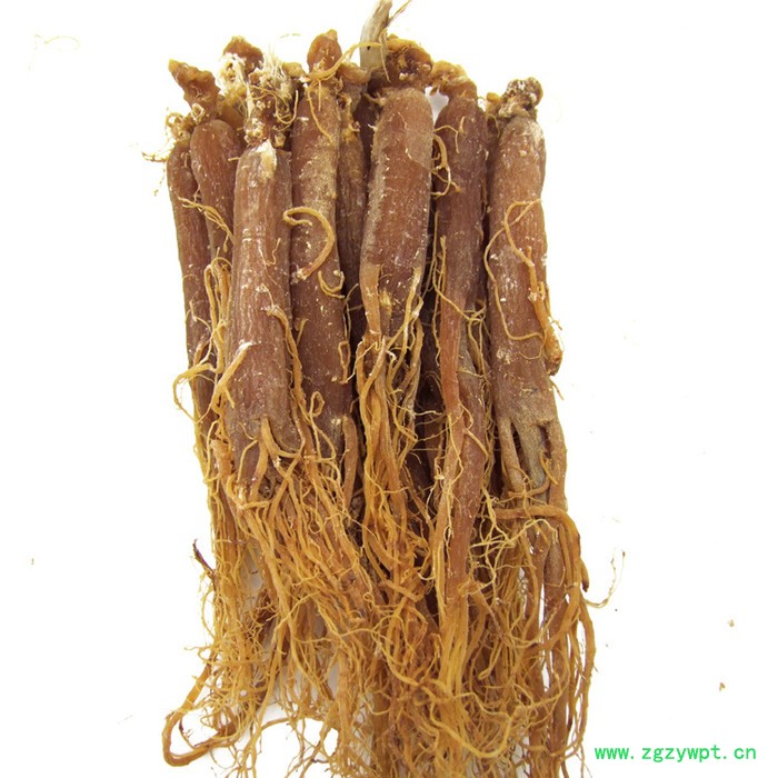 吉林长白山红参,6年根500克,批发中药材图2