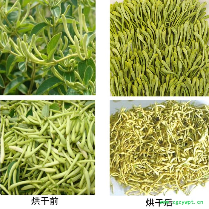 易立诺YK-720RD 金银花烘干机 中药材空气能热泵干燥设备 源头厂家 支持定制图6