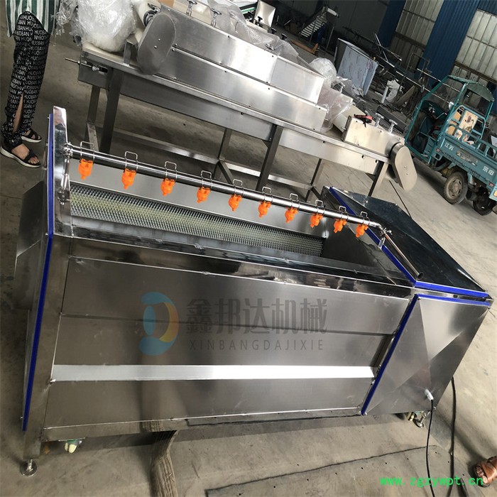 鑫邦达 马铃薯去皮清洗机 天麻沙姜去泥清洗设备 中药材牛蒡毛辊清洗机图3