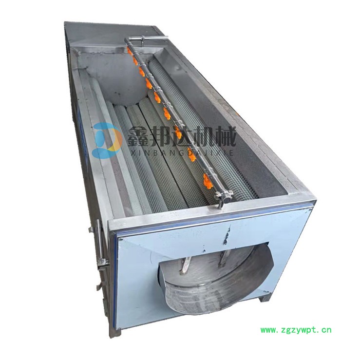 鑫邦达 马铃薯去皮清洗机 天麻沙姜去泥清洗设备 中药材牛蒡毛辊清洗机图5