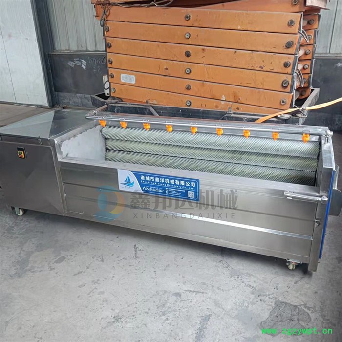 鑫邦达 马铃薯去皮清洗机 天麻沙姜去泥清洗设备 中药材牛蒡毛辊清洗机图4