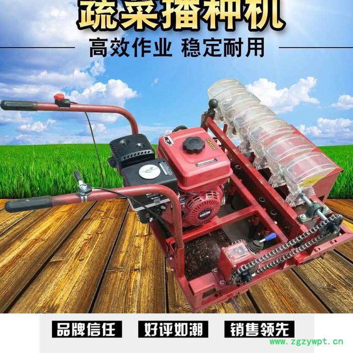 谷物蔬菜精播机 车载式施肥播种机 多功能香菜中药材播种机图5