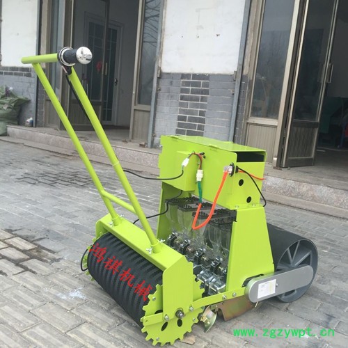 中药材小颗粒种子播种机 白菜籽精播机 手推蔬菜播种机 鸿祺机械图6