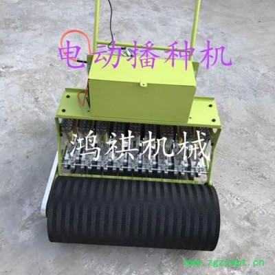 萝卜精播机省种子 HQ蔬菜精播机 中药材精密播种机