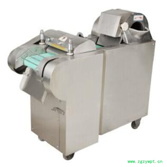 大产量家用切丝机 中药切片机 小型自动切菜机图4