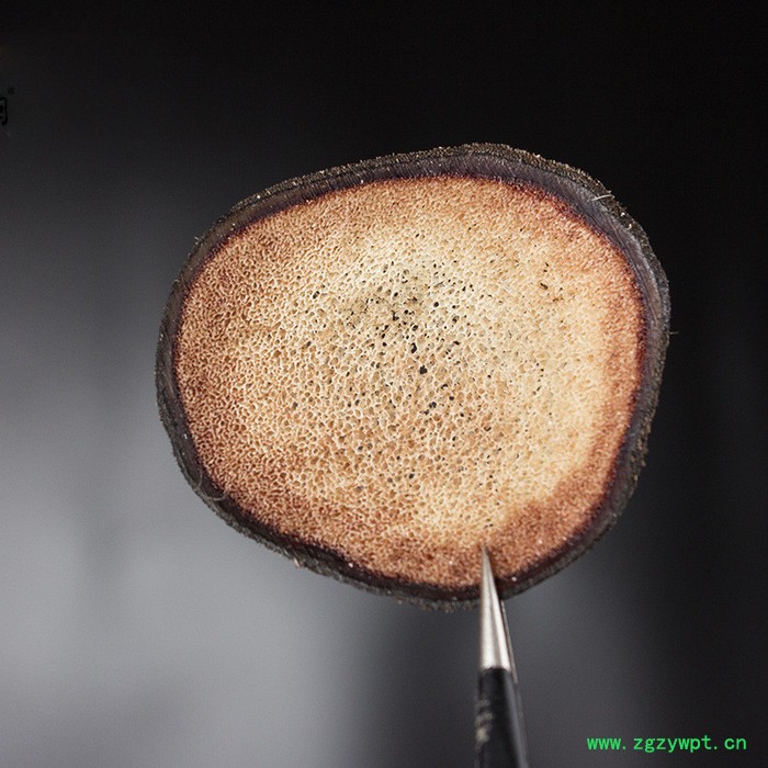 鹿茸老角片鹿乡鹿茸中药材散装批发图2