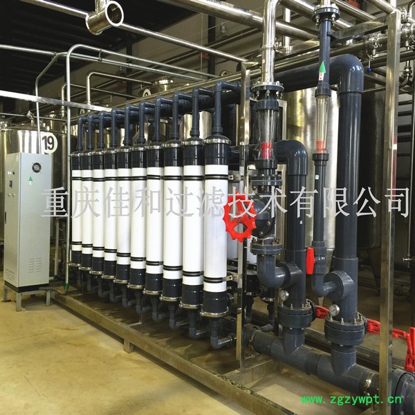 佳和过滤JH-ZY40/80 中药浸膏膜分离系统,浸膏膜过滤设备,浸膏精制除杂,浸膏低温浓缩,重庆提取液过滤厂家图2