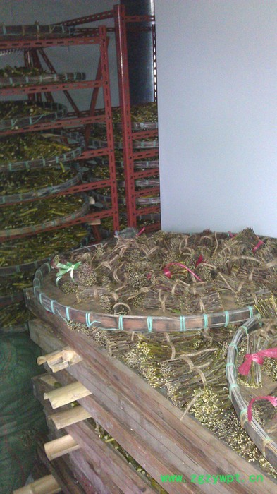 广州科能石斛热泵烘干机 中药材烘干机 烘干除湿一体机 石斛烘干机图2