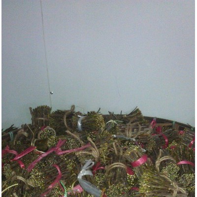 广州科能石斛热泵烘干机 中药材烘干机 烘干除湿一体机 石斛烘干机