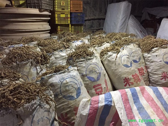 西莱特XLT_480RD 中药材烘干机 海产品烘干机 食品烘干机 木材烘干机 农产品烘干机图5