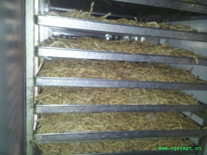 西莱特XLT_480RD 中药材烘干机 海产品烘干机 食品烘干机 木材烘干机 农产品烘干机图4