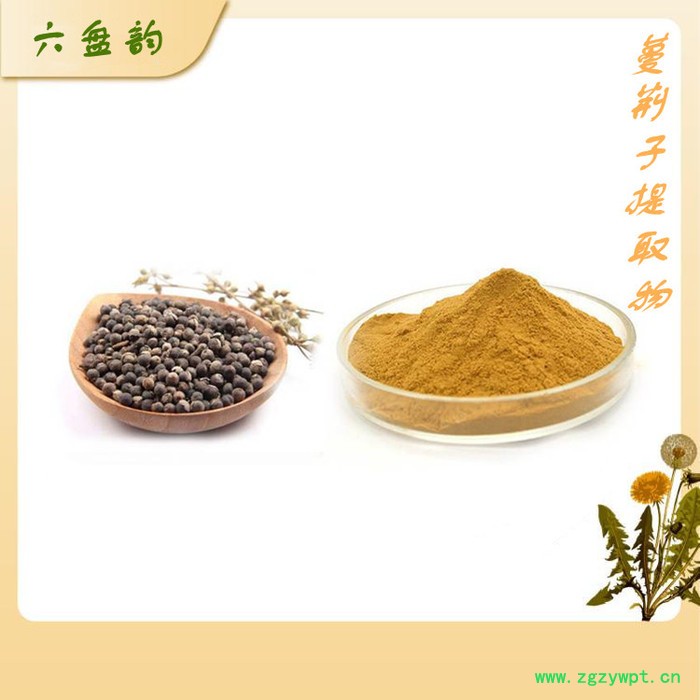 蔓荆子粉 中药原料粉 水溶 可定制图3