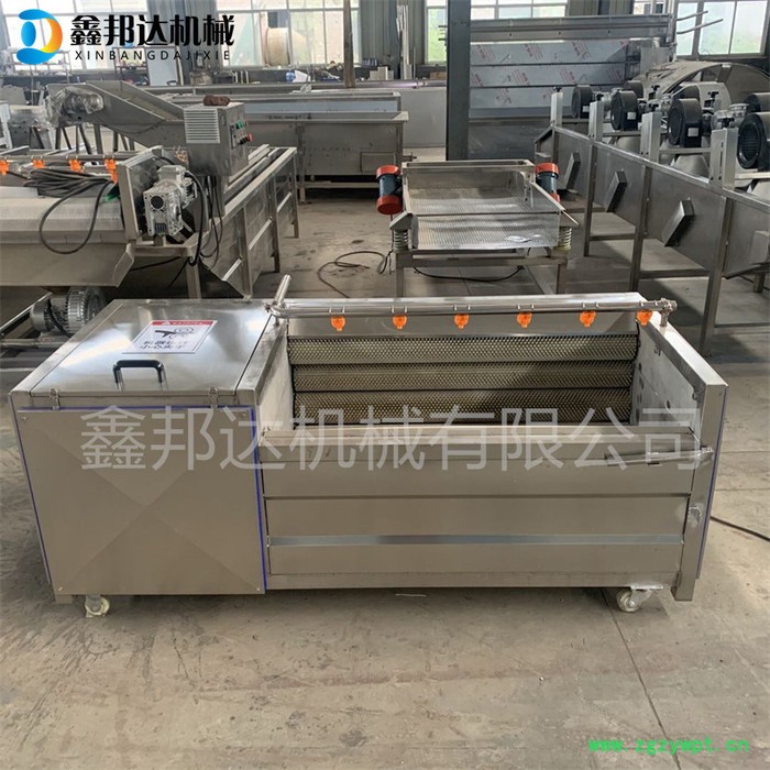 鑫邦达XBD-1500毛辊清洗机 根茎类中药材清洗去泥机 土豆红薯去皮机 厂家供应图6