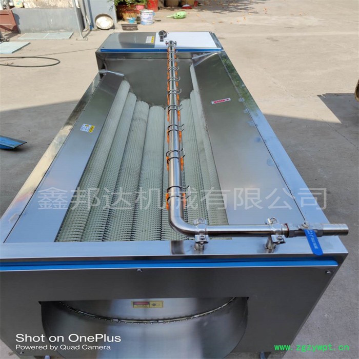 鑫邦达XBD-1500毛辊清洗机 根茎类中药材清洗去泥机 土豆红薯去皮机 厂家供应图3