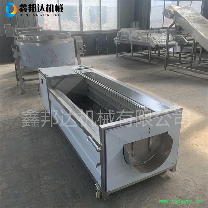 鑫邦达XBD-1500毛辊清洗机 根茎类中药材清洗去泥机 土豆红薯去皮机 厂家供应图4