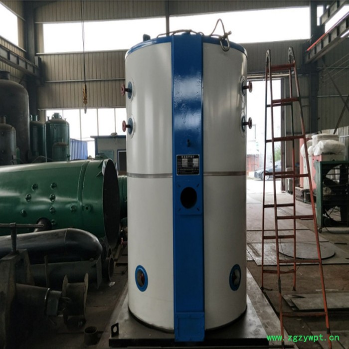 药店中药蒸煮燃气蒸汽锅炉  低氮燃气火排锅炉图7