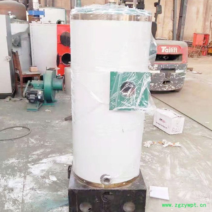 药店中药蒸煮燃气蒸汽锅炉  低氮燃气火排锅炉图8