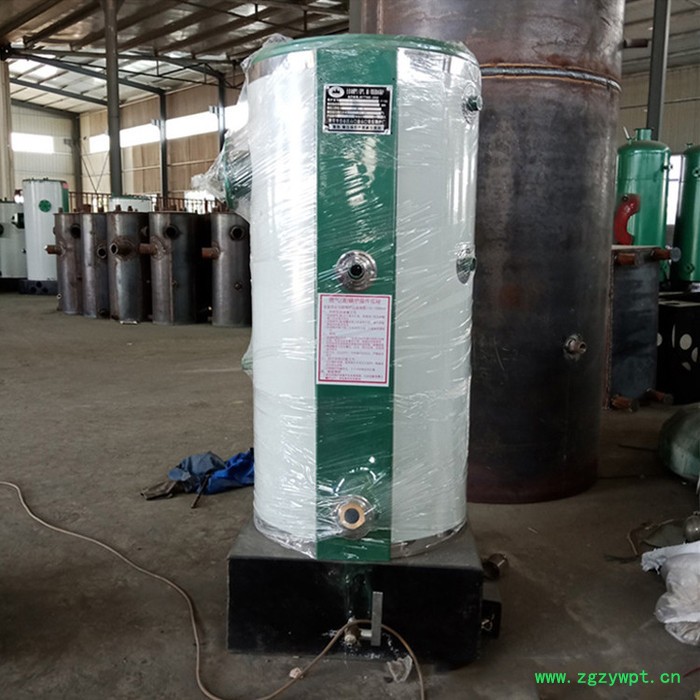 药店中药蒸煮燃气蒸汽锅炉  低氮燃气火排锅炉图2