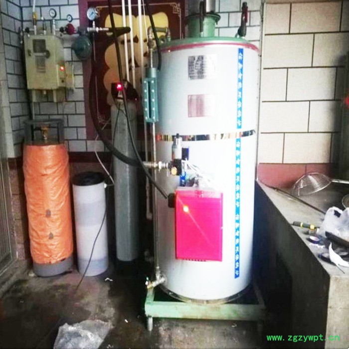 药店中药蒸煮燃气蒸汽锅炉  低氮燃气火排锅炉图6