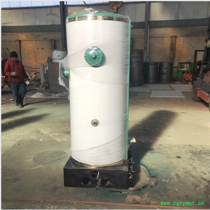 药店中药蒸煮燃气蒸汽锅炉  低氮燃气火排锅炉图4