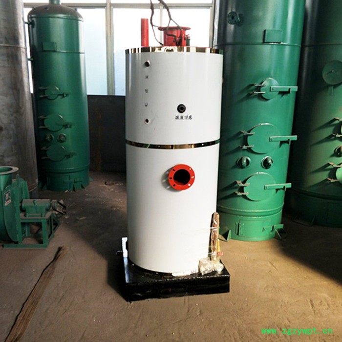 药店中药蒸煮燃气蒸汽锅炉  低氮燃气火排锅炉图5
