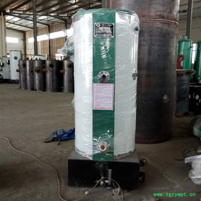 药店中药蒸煮燃气蒸汽锅炉  低氮燃气火排锅炉