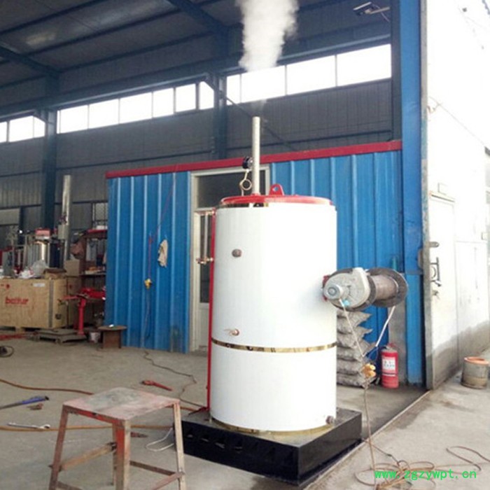 药店中药蒸煮燃气蒸汽锅炉  低氮燃气火排锅炉图3