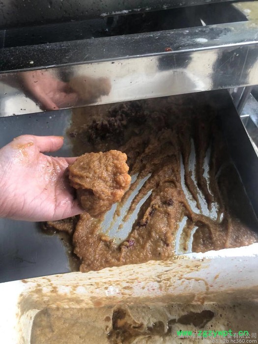 现货批发蔬果打浆机枇杷白果打浆机罗汉果打浆机甜叶菊打浆机中药材打浆机图4