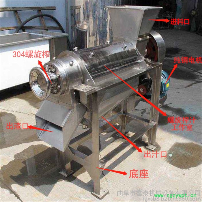 现货批发蔬果打浆机枇杷白果打浆机罗汉果打浆机甜叶菊打浆机中药材打浆机图7