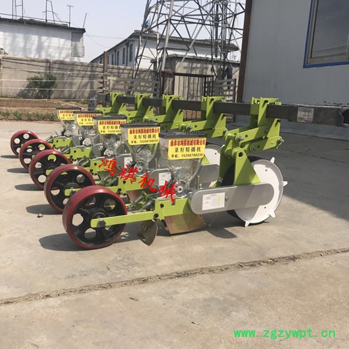 城区 白菜2行播种机 中药专用精播机图2