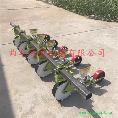 城区 白菜2行播种机 中药专用精播机图5