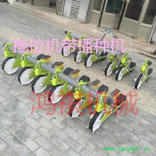 城区 白菜2行播种机 中药专用精播机图4