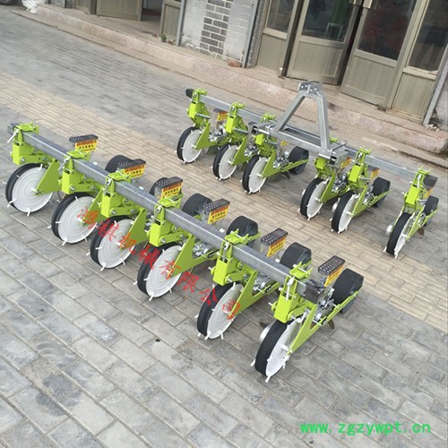 城区 白菜2行播种机 中药专用精播机图6